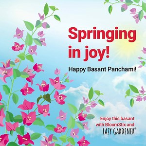 Today marks the day of the beginning of spring, the blooming of flowers, and new beginningsIt's a good time for new gardeners to begin their journey into gardening and for existing plant parents to enjoy their blooms and feed them the LG Bloomstix to thrive and for more & more flowers in your garden. Happy Vasant Panchami! . . #lazygardener #basantpanchami #springseason #flowers #flowerstagram #gardening #plantsmakepeoplehappy | Lazy Gardener | Facebook