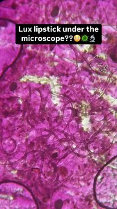 Lux lipstick under the microscope?? | Victor rahbari