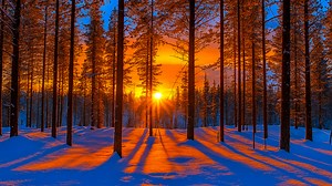 What Makes Winter Sunsets So Beautiful?