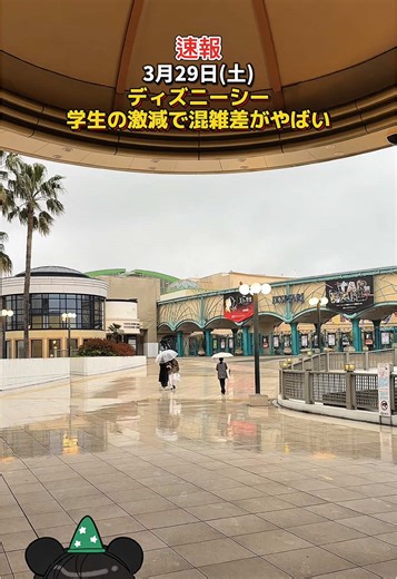 ディズニーシー混雑状況とお得な方法紹介