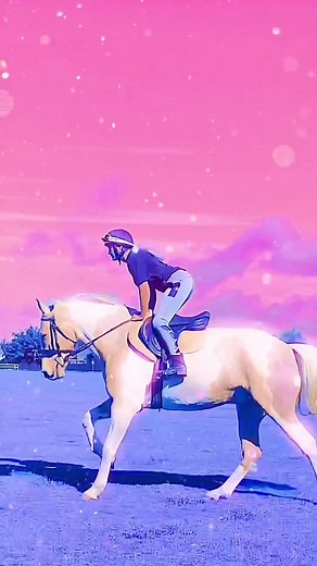 Enjoying Equestrian Life with Palomino Paint Horses
