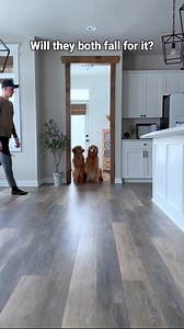 Part 2 | If you're going to play dead we might as well start taking our inheritance 🧢 | Tucker Budzyn