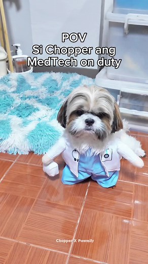 Chopper on duty 🐶🐾 ⚠️ Fake poop!! ⚠️ #dogsoftiktok #funnyvideos