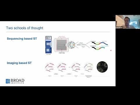 Analysis of Spatial Transcriptomics data