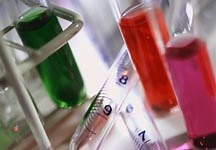 What causes sudden death in horses? - Horse & Hound