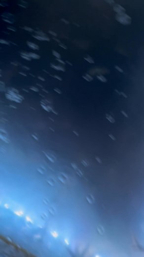 🌊 LIVE FINGER MULLET JUST ARRIVED! 🌊 Fresh, lively, and ready to help you land the big ones! 🎣 If you’ve been waiting for the perfect bait to get the bite going, now’s the time. Come get ’em and get on the fish! 🎣💥 #bobsbaitndtackle #fishing #livebait #Staugustine | Bobs BaitandTackle