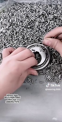 Eccentric Needle Roller Bearing Assembly Process Explained