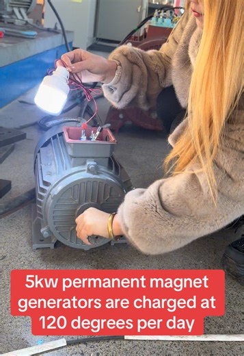 5kW Permanent Magnet Synchronous Generator Insights