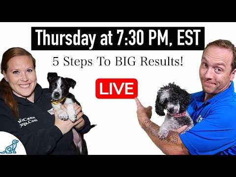 Are You Accidentally Being A BAD Leader For Your Dog?