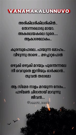 Paattbook | Vanamakalunnuvo song Lyric Video #lyrics #song | Instagram