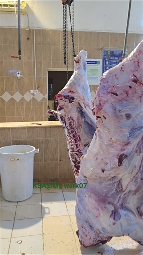 Red Bull Cow meat process by Butcher's skills #shorts #shortvideo