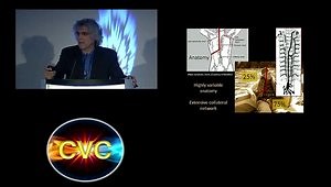 Lymphatic Anatomy and How to Interpret Lymphography