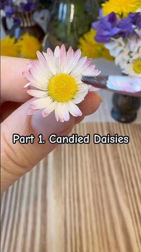 Part 1. candied Daisies