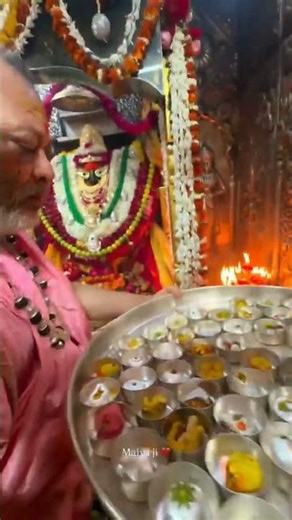 #shyam #shyamkripa #shorts #motivation ‪@rolijivermafullmasti266‬