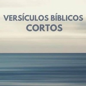 Short Bible verses to memorize ▷➡️ Postposmo