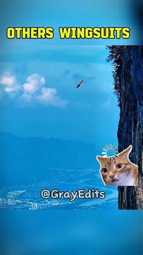 normal wingsuits vs pro