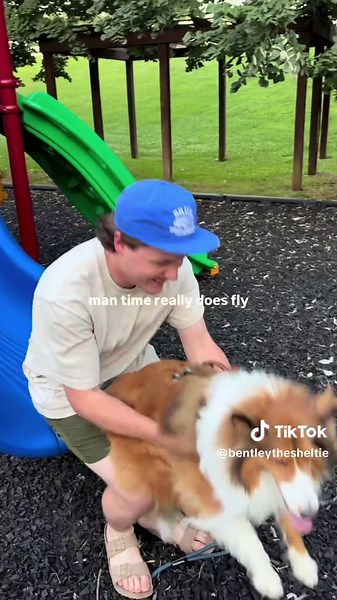 how has it already been almost 2 years?!😢🥺 #shetlandsheepdog #sheltie #sheltiesoftiktok #dogsoftiktok
