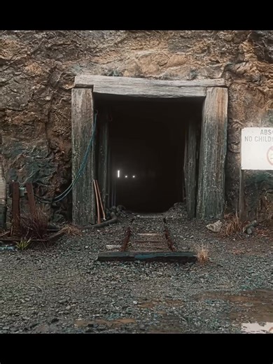 Discover Best Movies on the Internet