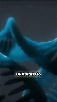 Topoisomerase: The Molecular Machine That Untangles DNA