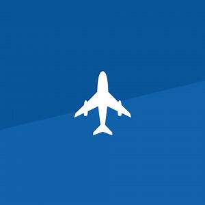 An overview of benefits and wellness programs for American Airlines team members.