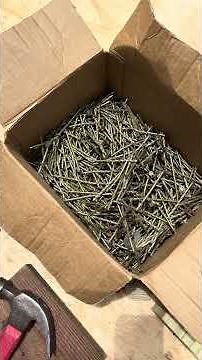 Reclaimed Nails to Finish nailing Shed Floor