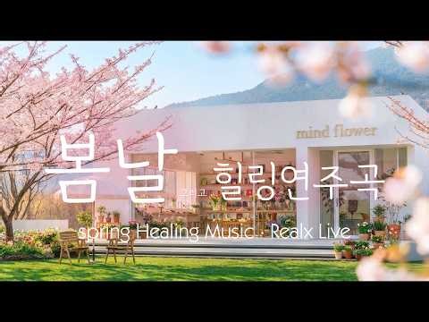 [Live] Spring Awakening 🌸 Fragrant Friday & Peaceful Sound (3/20)