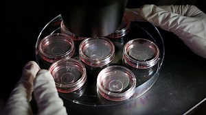 Why no experiment can explain the supernatural, making it an intellectual dead end