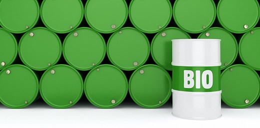 Algal biofuel production is neither environmentally nor commercially sustainable