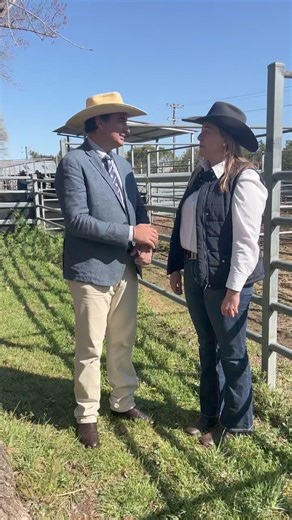 🐂 📣 The 2024 Colin Say & Co Beef Extravaganza has wrapped up, and what an incredible event it was! With over 160 entries, including 120 led steers, top cattle breeders, professional fitters, and schools brought their best to one of the year's biggest competitions. Competitors from across Queensland, the Hunter Valley, and beyond showcased their skills, competing for over $30,000 in cash and prizes. Special thanks to our very own Zoe Puls for bringing us all the highlights from this unforgettab