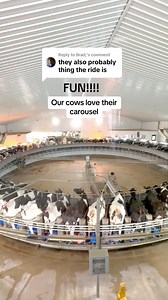 350K views · 3.1K reactions | Is our carousel like an amusement park for cows? …maybe… | MVP Dairy | Facebook