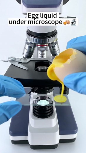 Fascinating 400x Magnification of Egg Liquid | Microscope Vision