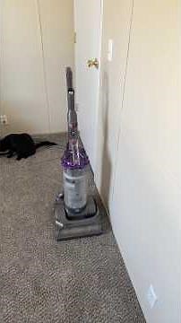 Dyson Absolute DC17 upright vacuum cleaner demo #dysonvacuumcleaner #dyson #vacuumcleaner