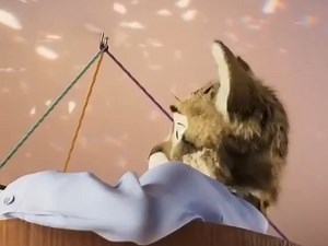 [转载][Furry][网络] 找工作广告但是福瑞_哔哩哔哩_bilibili