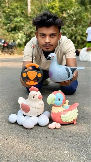 Pigeon Birds with Rc Remote Control Parrot Unboxing