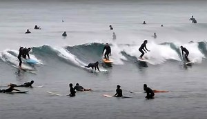 This Is Why Surfing Malibu Never Ceases to Entertain