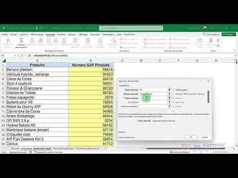 Fonction Excel recherchex() avec caractères génériques