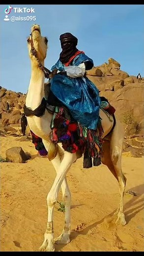 tourisme Algérie fantastique 🇩🇿désert Tamanrasset illizi Sahara