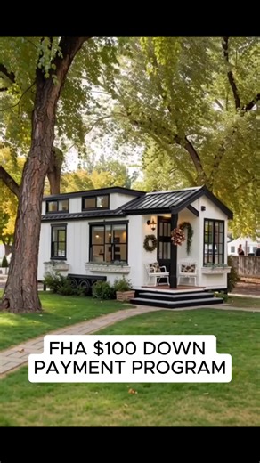 24 shares | The FHA $100 Down Payment Program has drawn attention among first-time buyers. Learn how this federal-backed initiative helps individuals explore paths toward homeownership with minimal upfront costs. | Adepty Buzz | Facebook