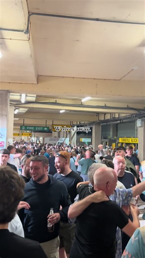 Wolves Away: An Exciting Matchday Experience