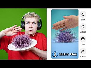 i tested ZACK D FILMS videos..