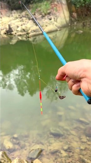 Amazing Fishing in River Catching Unique Fish By Mini Rod #fishing #shortvideo