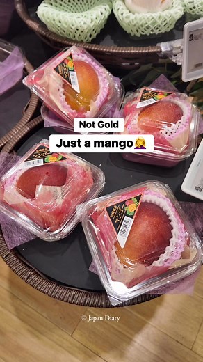 2.8K views · 27 reactions | Mangoes cost now a days.臘‍♀️臘‍♀️ #japan #mango #expensive #miyazakimango | Japan Diary日本 | Facebook
