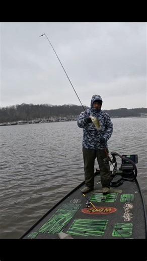 11.5 incher #fishing #foryou #crappie #fyp #outdoors