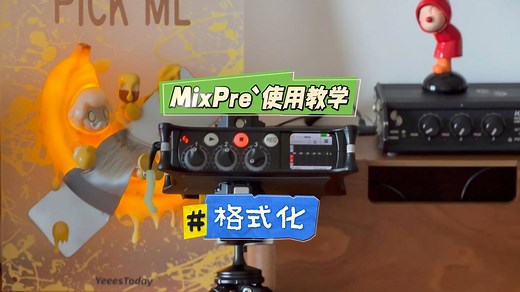 MixPre`使用教学：格式化