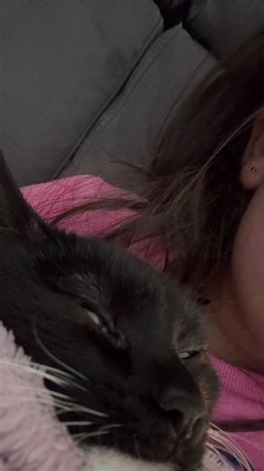 TALA TALKS on TikTok