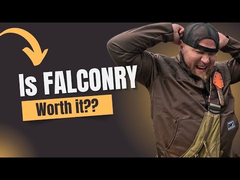 THE REALITY OF A FALCONRY HUNT