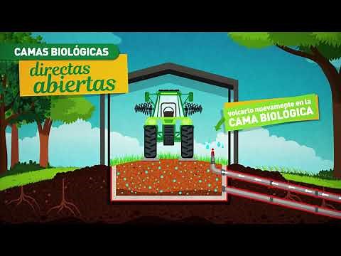 ¿Cómo funcionan las camas biológicas?