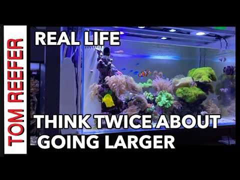 THINK TWICE ABOUT GOING TO A LARGER REEF TANK
