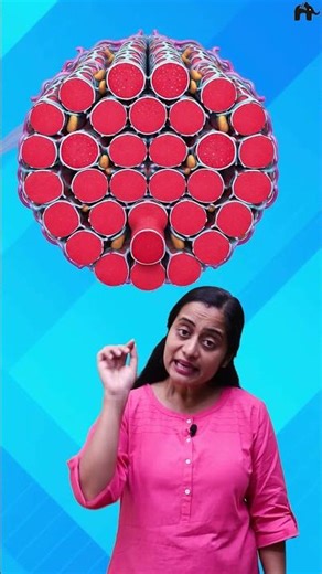 Locomotion and Movement Class 11 Biology with Roshni Ma'am #concepthogacrystalclear
