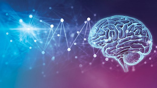 Epilepsy | Peter O'Donnell Jr. Brain Institute | Condition | UT Southwestern Medical Center